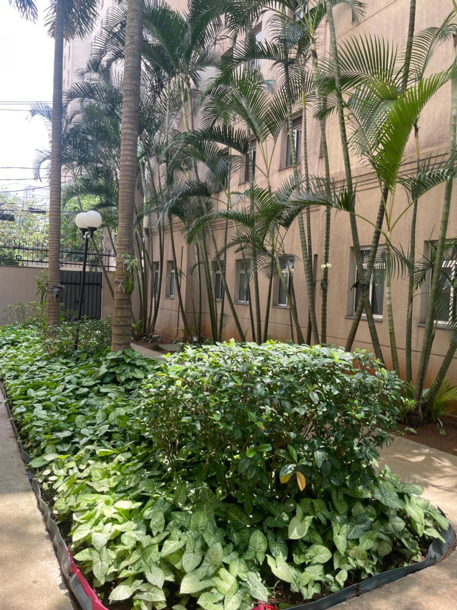 Nova Apartamento